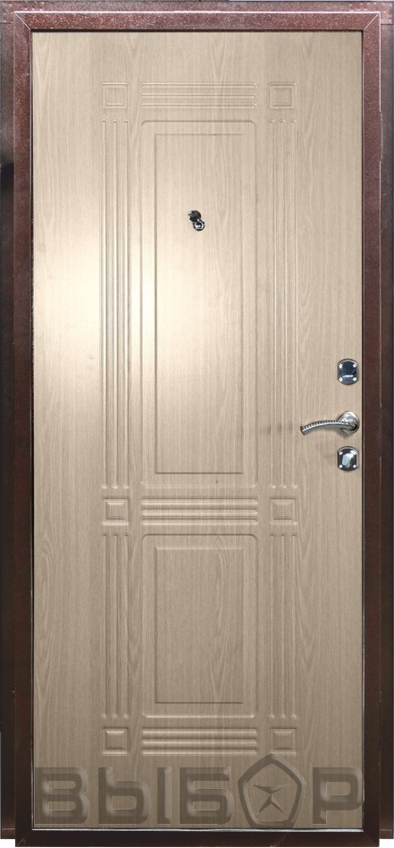 Двери Выбор Входная дверь Лидер, арт. 0002673 - фото №1